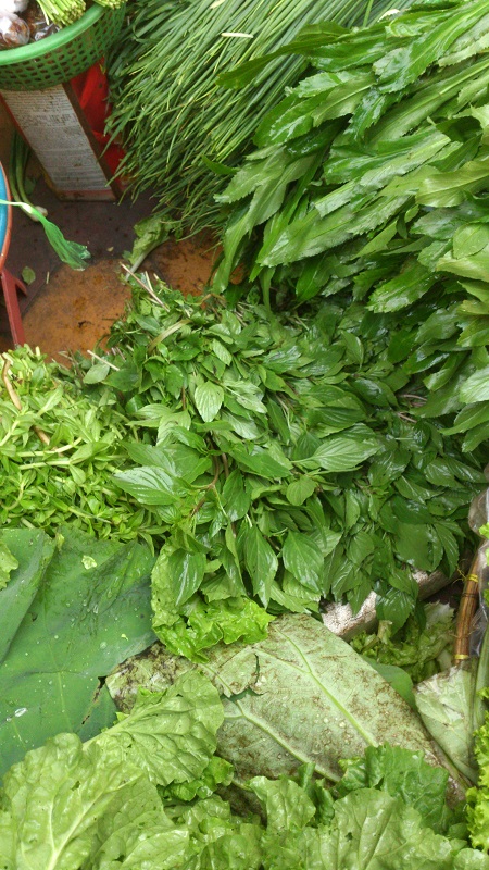 basil & leaf corianda - Copy